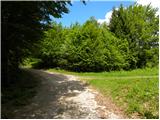 Planina (Dolnja Planina) - Grmada (Planinska gora)